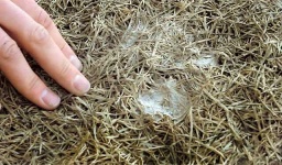image of texture