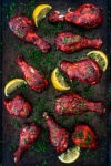 image of tandoori #25