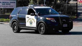 image of police_car