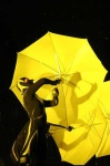 image of umbrella