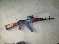 image of gun
