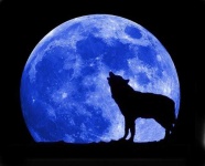 image of moon