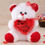 image of teddy_bear