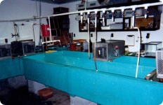 image of indoor