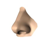 image of nose #29