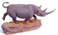 image of rhino