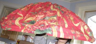 image of hoopskirt