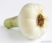 image of garlic #31