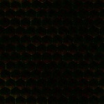 image of texture