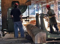 image of lumbermill