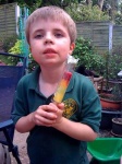 image of ice_lolly