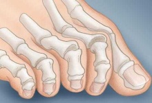 image of human_body_parts