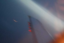 image of wing