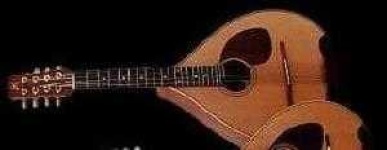 image of mandolin