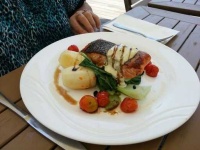 image of food