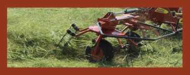 image of tedder