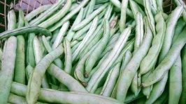 image of string_bean #9