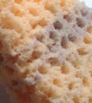 image of texture
