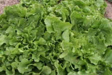 image of texture