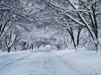 image of snowy