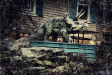 image of triceratops