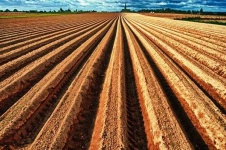 image of texture
