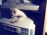 image of printer
