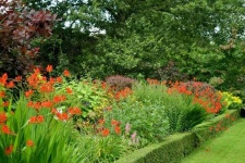 image of garden