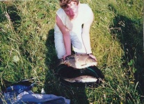 image of tench