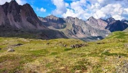 image of tundra