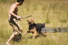 image of people_play_with_dog #4