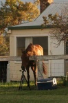 image of tripod