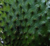 image of texture
