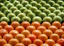 image of orange