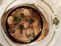 image of escargots #11