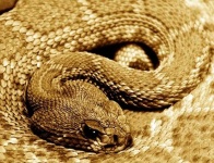 image of texture