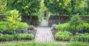 image of garden