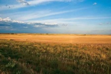 image of prairie