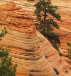 image of texture