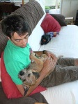 image of border_terrier