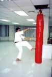 image of punching_bag