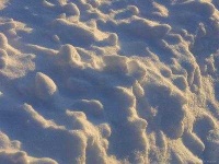 image of texture