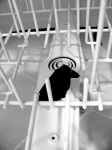 image of dishwasher