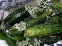 image of cucumber