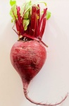 image of beetroot #32