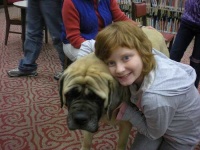 image of bull_mastiff