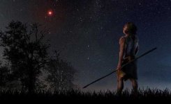 image of star