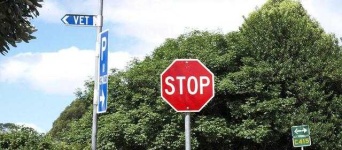 image of stop_sign #15