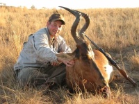 image of hartebeest