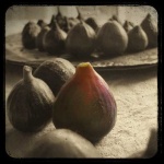 image of fig